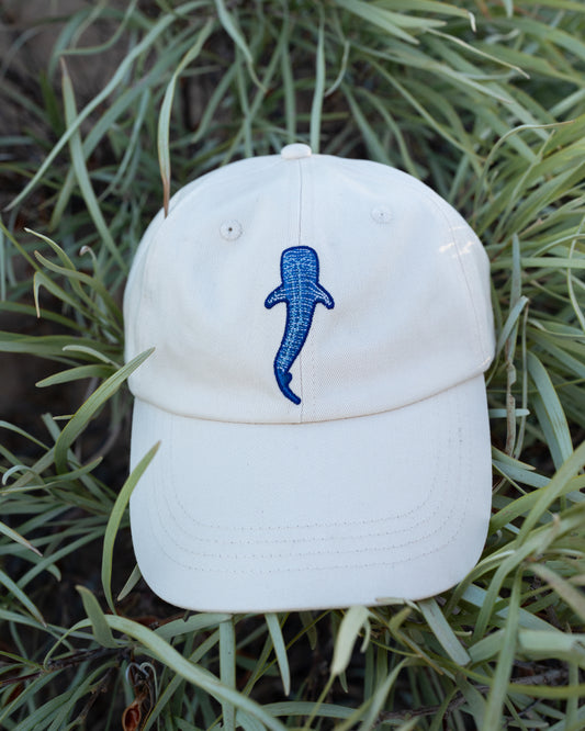 Whale Shark Cap