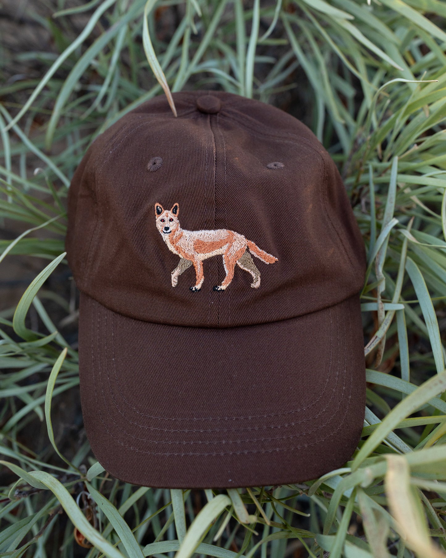Dingo Cap