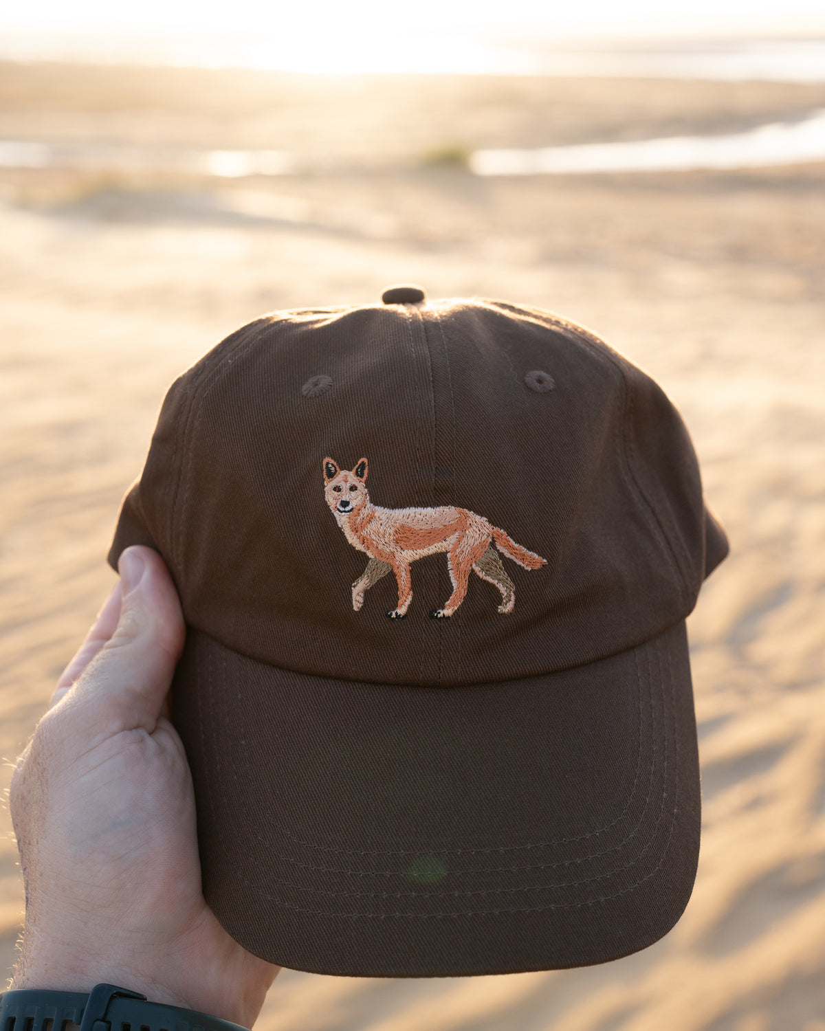 Dingo Cap Dingo Cap – Eucalyptia