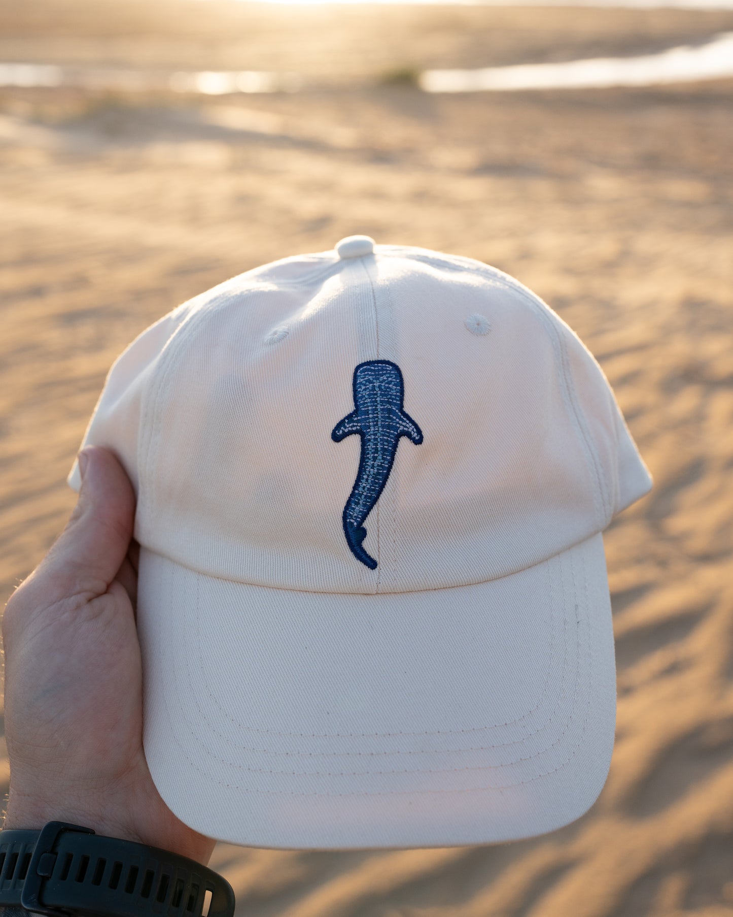 Whale Shark Cap